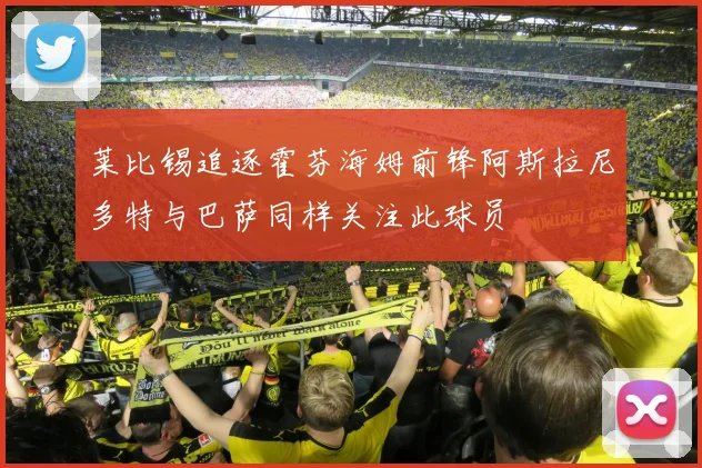 莱比锡追逐霍芬海姆前锋阿斯拉尼多特与巴萨同样关注此球员